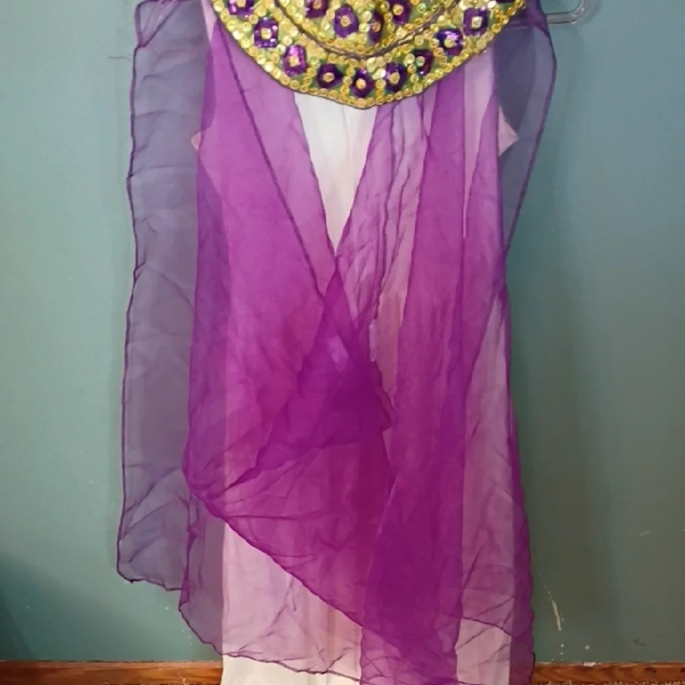 Kids Egyptian Costume with Purple and Gold Accents Size Girls Large 10/12